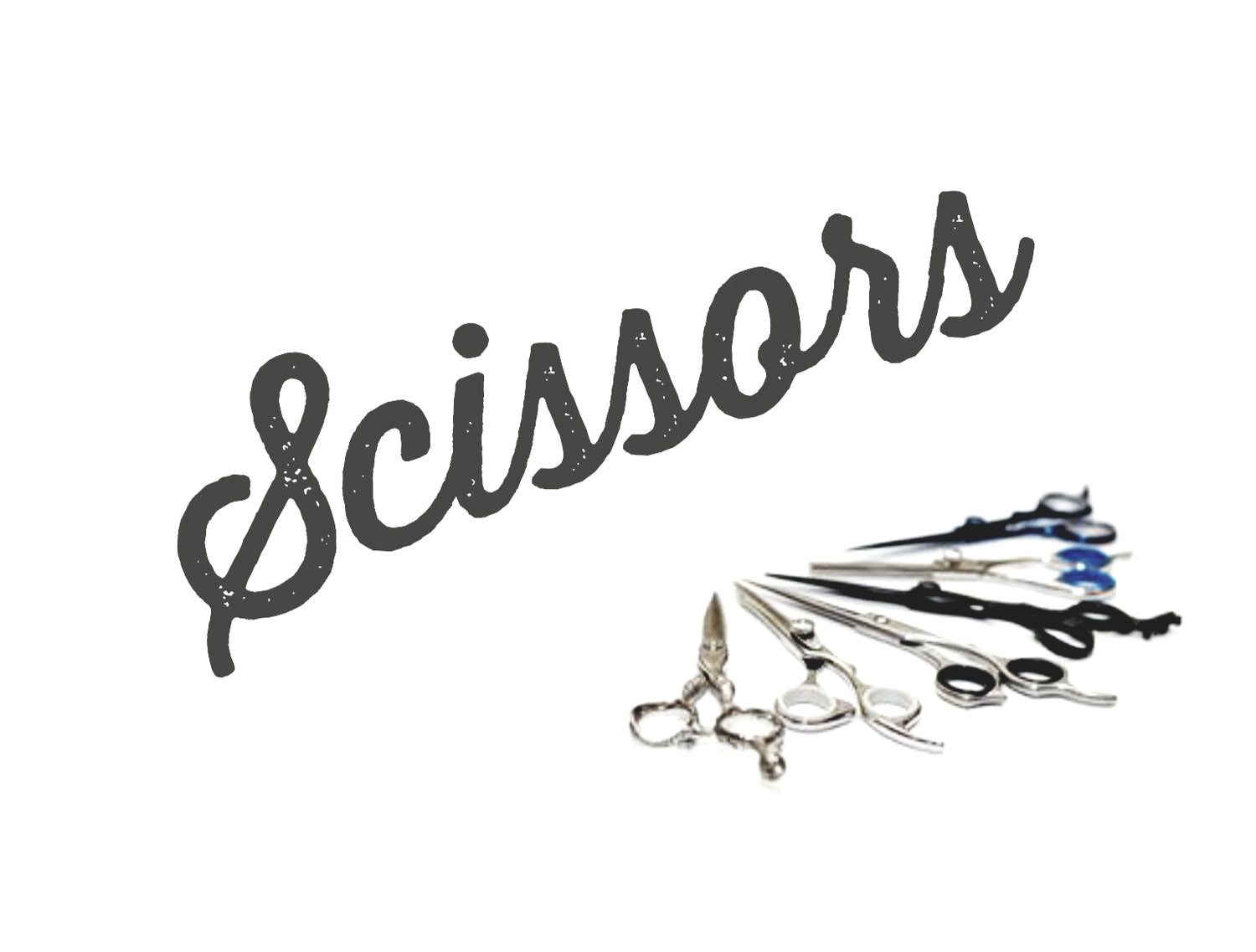 Scissors & Rotary Cutters